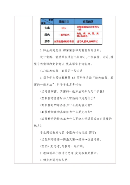 5.4.1细菌和真菌的分布