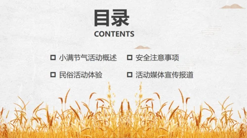 金色麦穗小满通用PPT模板