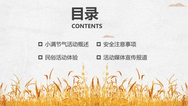 金色麦穗小满通用PPT模板