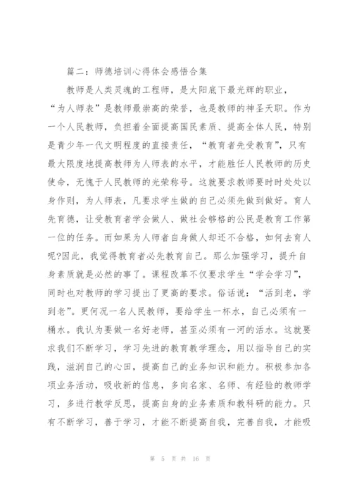 师德培训心得体会感悟(合集5篇).docx