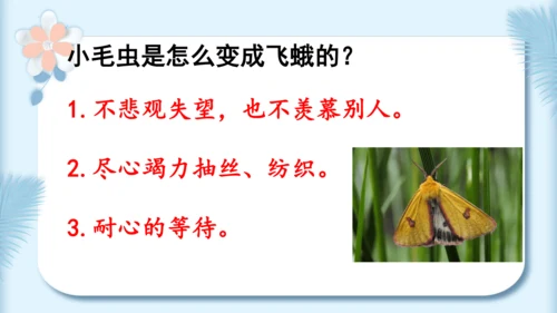 22.小毛虫（第二课时）教学课件