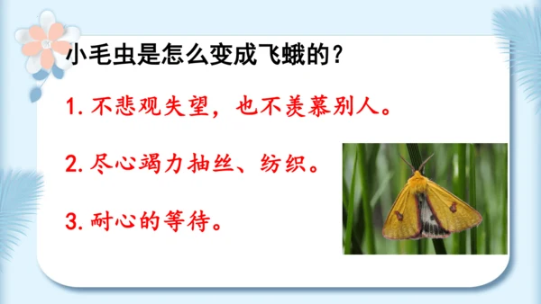 22.小毛虫（第二课时）教学课件