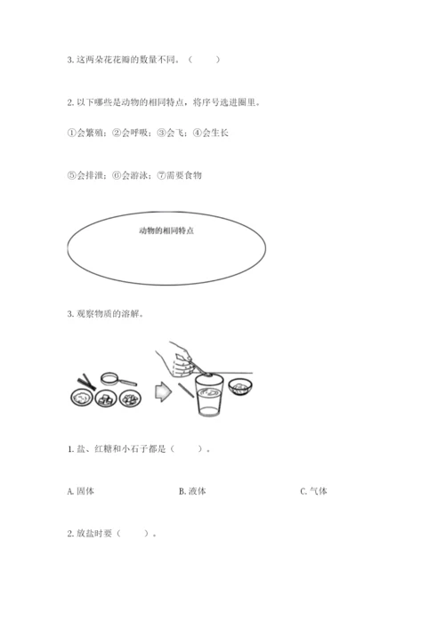 教科版一年级下册科学期末测试卷及完整答案（网校专用）.docx