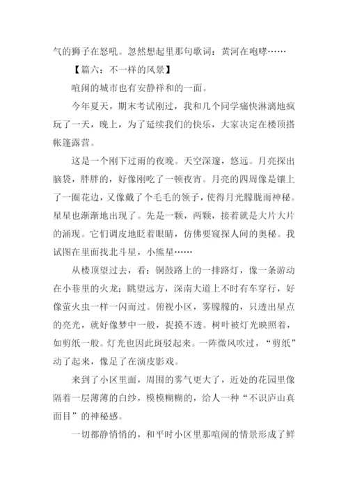 不一样的风景作文.docx