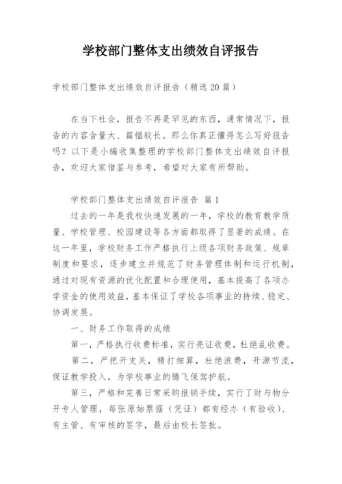 学校部门整体支出绩效自评报告.docx