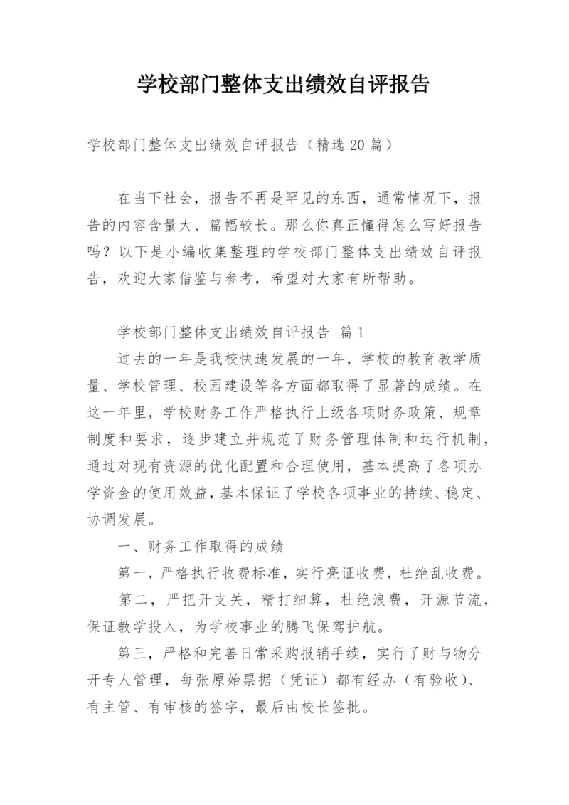 学校部门整体支出绩效自评报告.docx