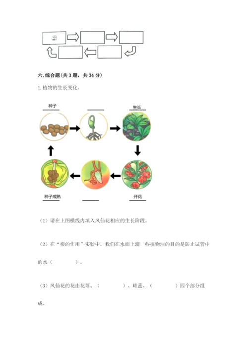 科学四年级下册第一单元植物的生长变化测试卷【精选题】.docx