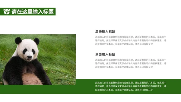绿色实拍风保护大熊猫科普主题PPT模板