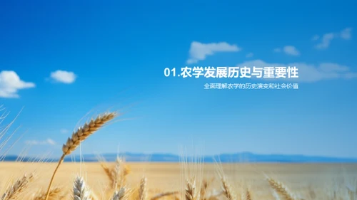 农学研究全景解析