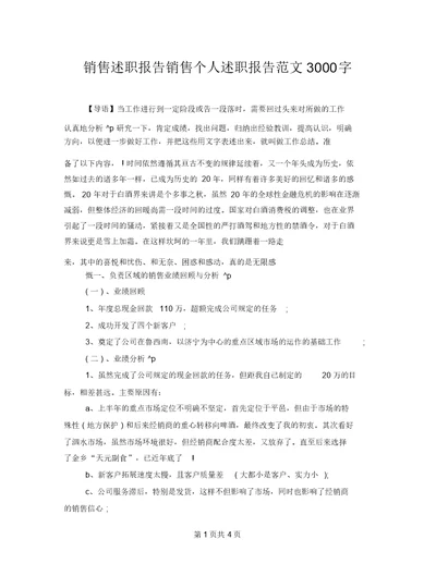 销售述职报告销售个人述职报告范文3000字