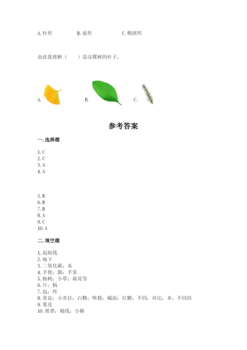 教科版一年级上册科学期末测试卷（必刷）.docx