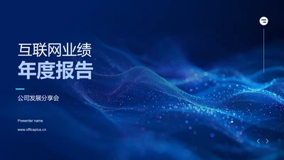 互联网业绩年度报告