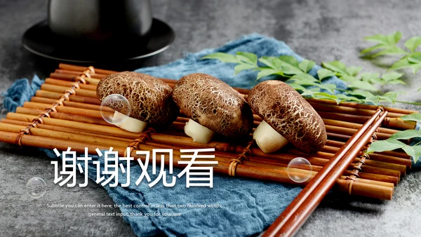 蘑菇菌类养生文化宣传动态PPT模板