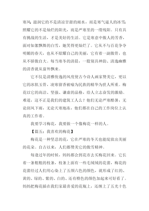 梅花的作文-10.docx
