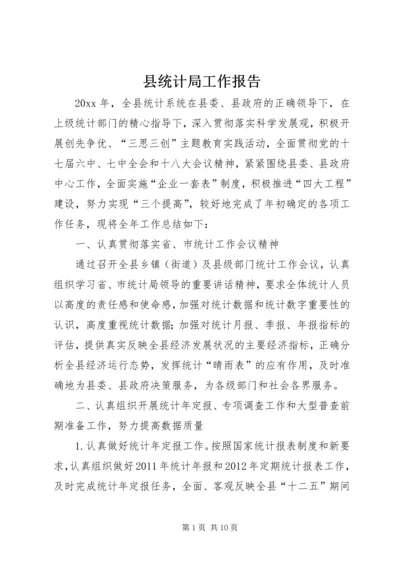 县统计局工作报告 (3).docx