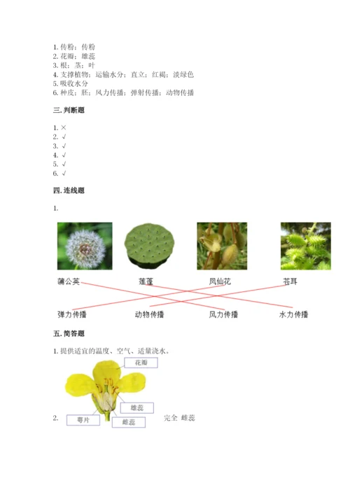 科学四年级下册第一单元植物的生长变化测试卷（培优b卷）.docx