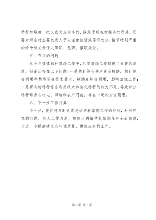 乡镇秸秆禁烧工作总结.docx