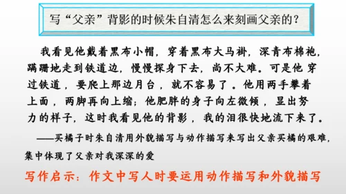 14 背影 课件