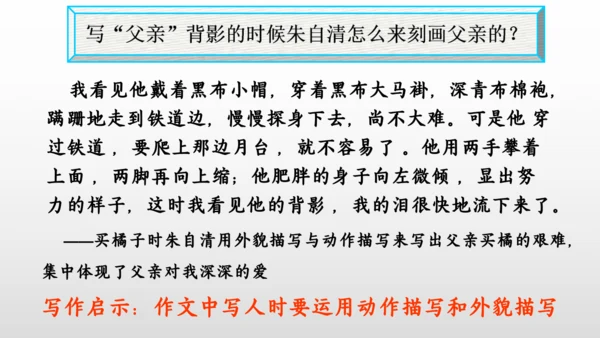 14 背影 课件