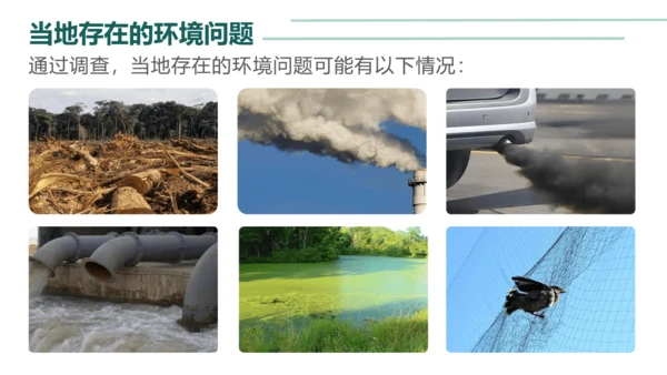 4.7.3拟定保护生态环境的计划 课件（13页）