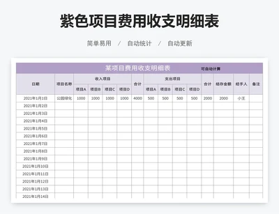紫色项目费用收支明细表