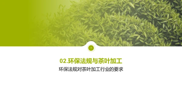 绿色革新：茶叶加工