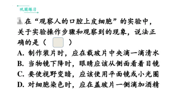 人教版生物七年级上册第一单元《生物与细胞》单元复习课件(共53张PPT)