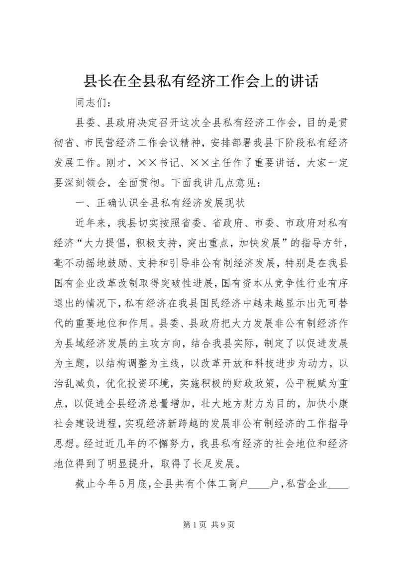 县长在全县私有经济工作会上的讲话.docx