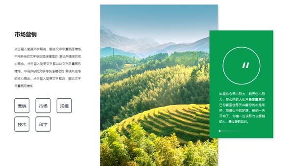 建设新时代美丽新农村通用PPT模板
