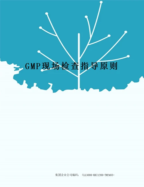 GMP现场检查指导原则