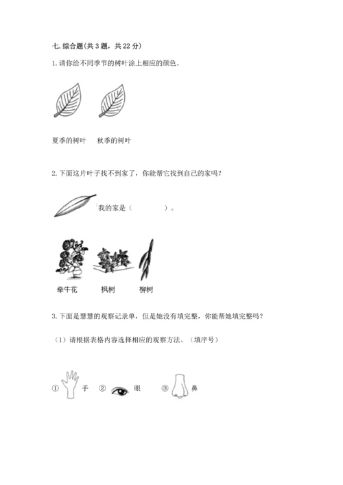 教科版科学一年级上册第一单元《植物》测试卷及参考答案（达标题）.docx