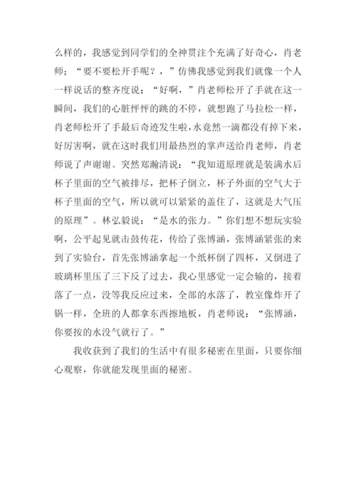做实验的作文.docx