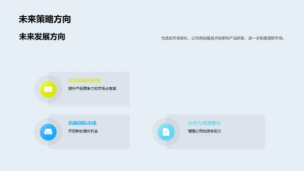 公司年度绩效回顾