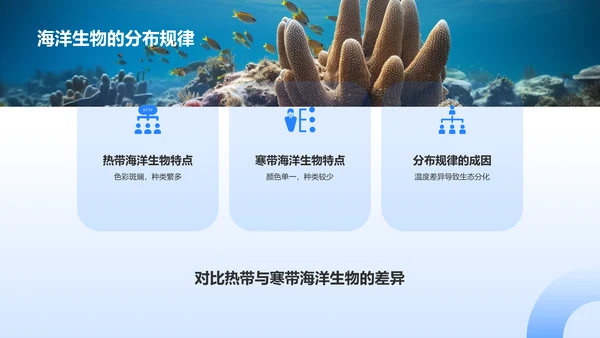 蓝色摄影风海洋生物知识科普PPT模板