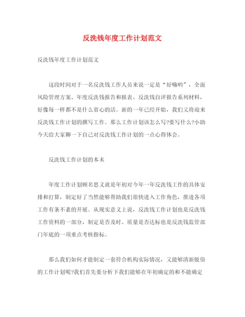 精编之反洗钱年度工作计划范文.docx