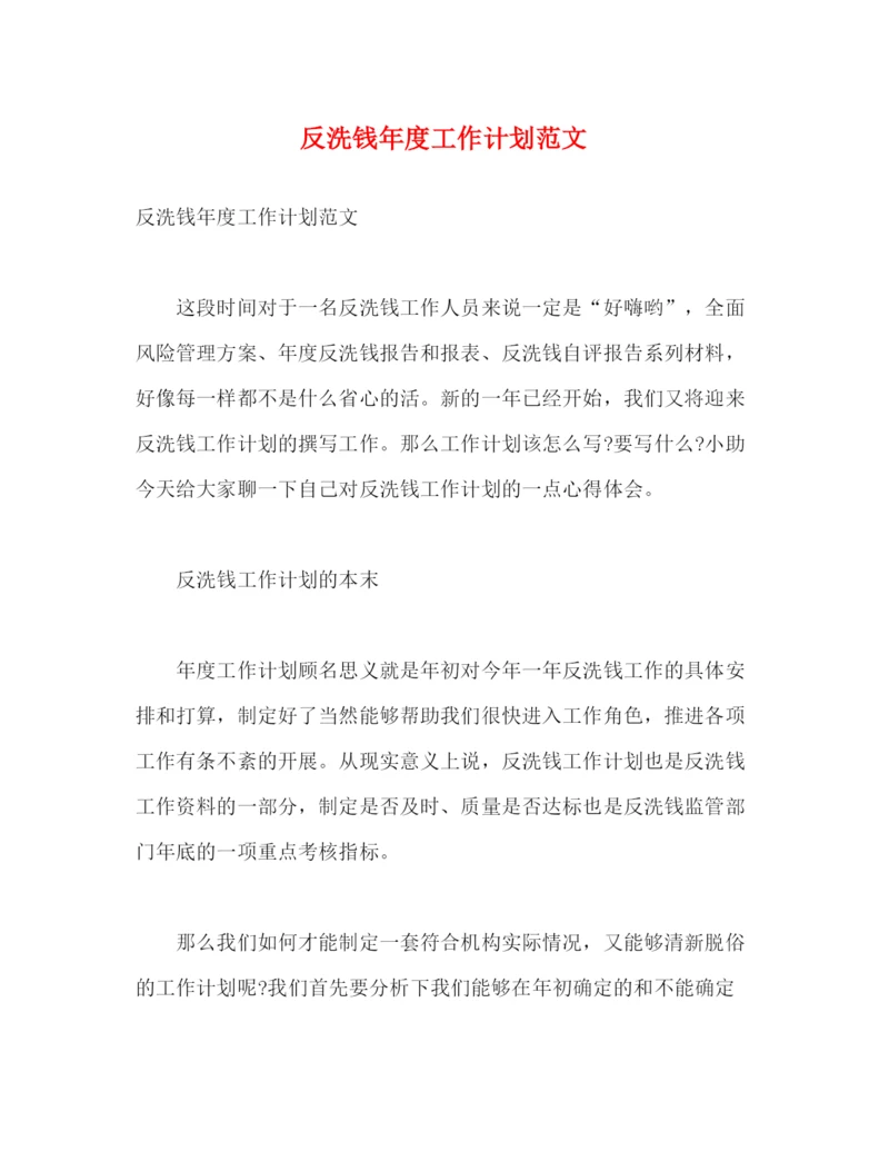 精编之反洗钱年度工作计划范文.docx