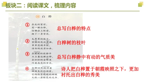 部编版2022-2023学年四年级语文下册大单元教学  第三单元    课件
