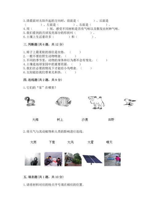 教科版二年级上册科学期末测试卷附参考答案【培优b卷】.docx