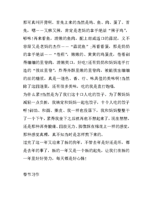 家乡的春节作文模板300字