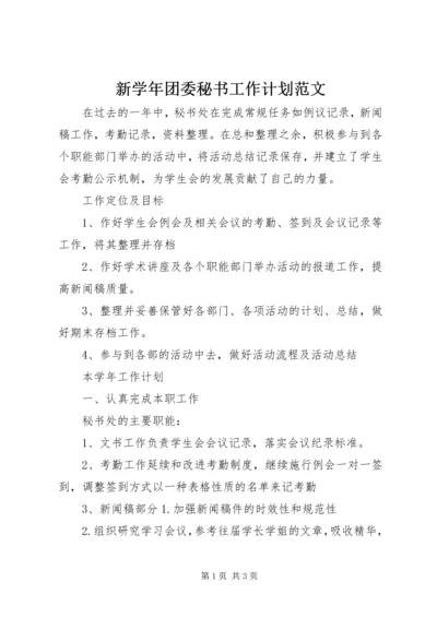 新学年团委秘书工作计划范文.docx