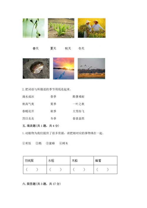 教科版科学二年级上册《期末测试卷》精品（巩固）.docx