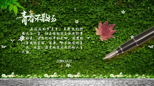 青春不散场阳光绿草通用PPT电子相册