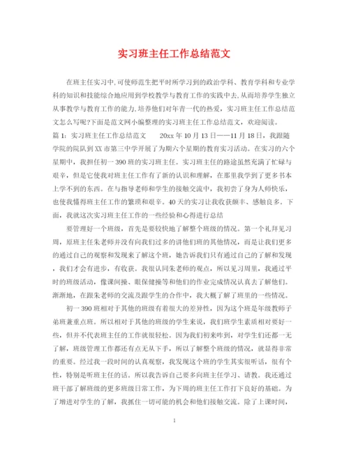 精编之实习班主任工作总结范文22.docx