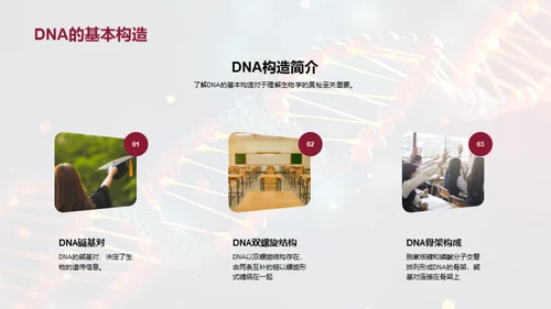 生物学之DNA探秘