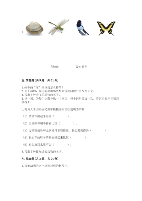 教科版一年级下册科学期末测试卷附完整答案（历年真题）.docx