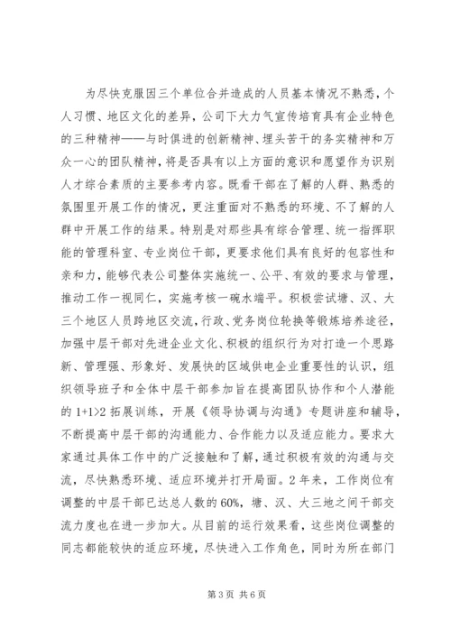 电力党管干部调研报告.docx