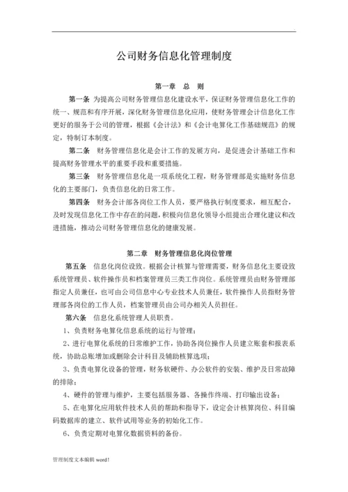 公司财务信息化管理制度.docx