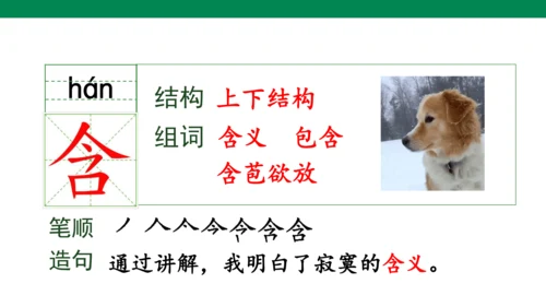 部编版二年级语文下册15古诗二首 晓出净慈寺送林子方 课件