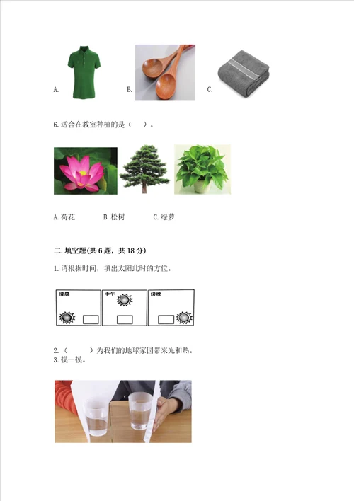 教科版小学二年级上册科学期末测试卷精编答案