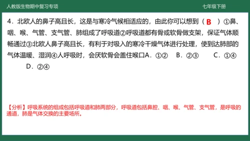 第三章 人体的呼吸（-七年级生物下学期期中考点大串讲（人教版）(共25张PPT)